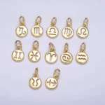 Round Zodiac Sign Charm